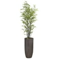 thumbnail image 1 of Artificial Real Touch 7.67 Feet Bamboo Tree With Planter, 1 of 3