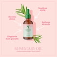 thumbnail image 3 of Bruma diaria y gotas de aceite para el cuidado del cabello Camille Rose Rosemary Water, 3 of 9