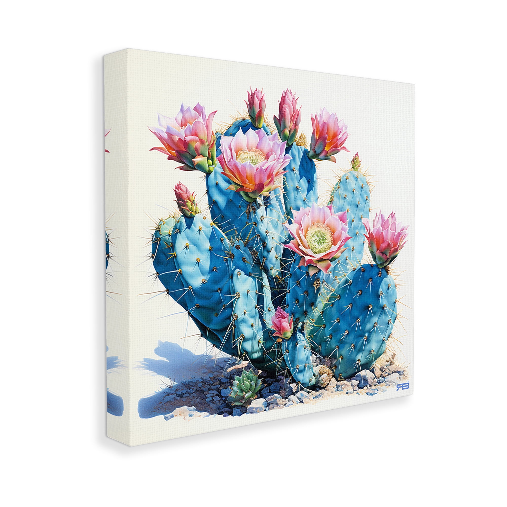 Stupell Industries Prickly Cactus Blossoms Botanical & Floral Painting Gallery Wrapped Canvas Art Print Wall Art, 24 x 24