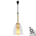 thumbnail image 1 of FSLiving Dimmable J Type Track Light Pendants Retro Lighting Industrial Light Fixtures Remote Control Clear Bell Glass 3.2 Ft, Track Mount Industrial Style for Barn Kitchen Island Customizable, 1 of 9
