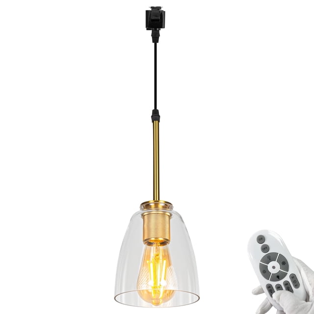FSLiving Dimmable J Type Track Light Pendants Retro Lighting Industrial Light Fixtures Remote Control Clear Bell Glass 3.2 Ft, Track Mount Industrial Style for Barn Kitchen Island Customizable