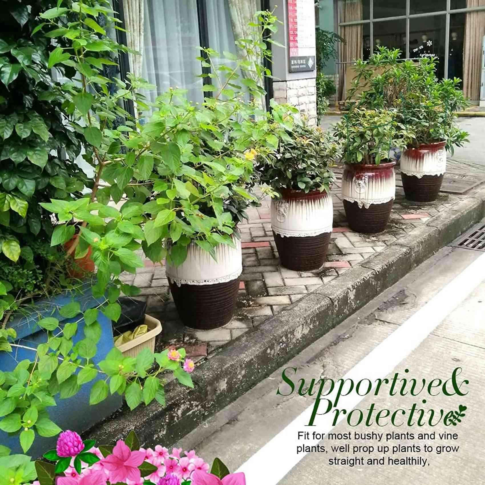 12 Pcs Plant Support Stakes Ring Cage Metal Garden Plant Stake Green Half Round Plant Support Ring Plant Supports