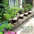 thumbnail image 5 of 8 Pcs Plant Support Stakes Ring Cage Metal Garden Stake Green Half Round Large Supports, 5 of 6