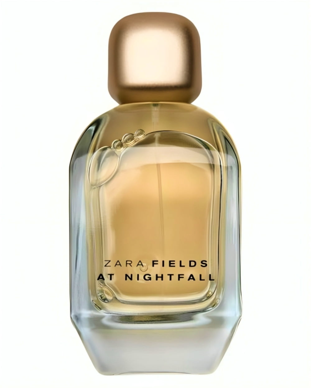 Zara Fields at Nightfall Amber Perfume for Women with Praline Jasmine and Sandalwood Eau De Parfum 100 ml (3.4 fl. oz)
