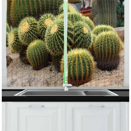 Cactus Curtains 2 Panels Set, Golden Barrels Cactaceae Family Desert Succulent Indigenous Foliage, Window Drapes for Living Room Bedroom, 55W X 39L Inches, Green Mustard Pale Brown, by