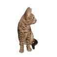 thumbnail image 4 of 10" H Sitting Bengal Cat Garden Statue, 4 of 5