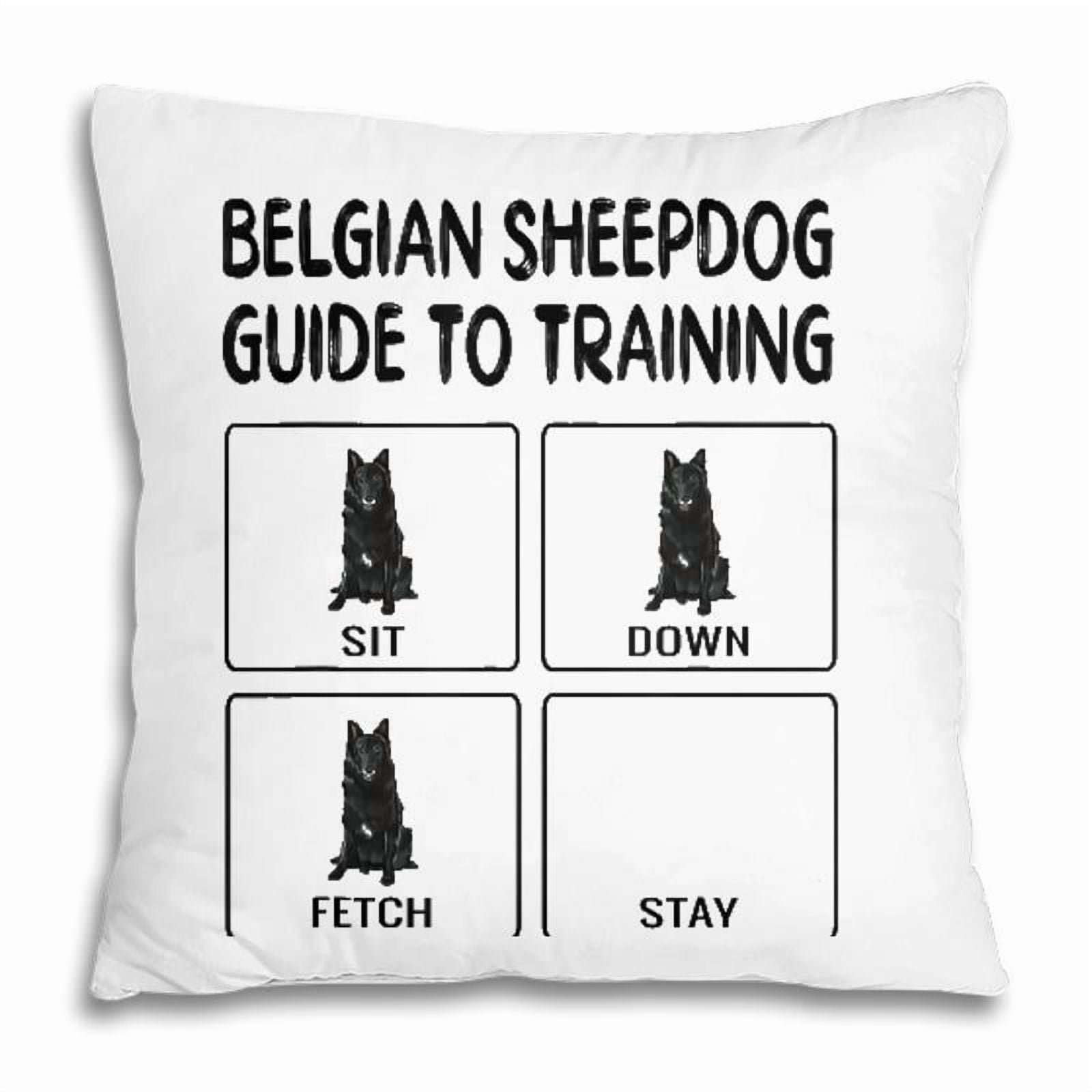 Pillow Cover - Belgian Sheepdog Guide To Training Dog Obedience Pillow