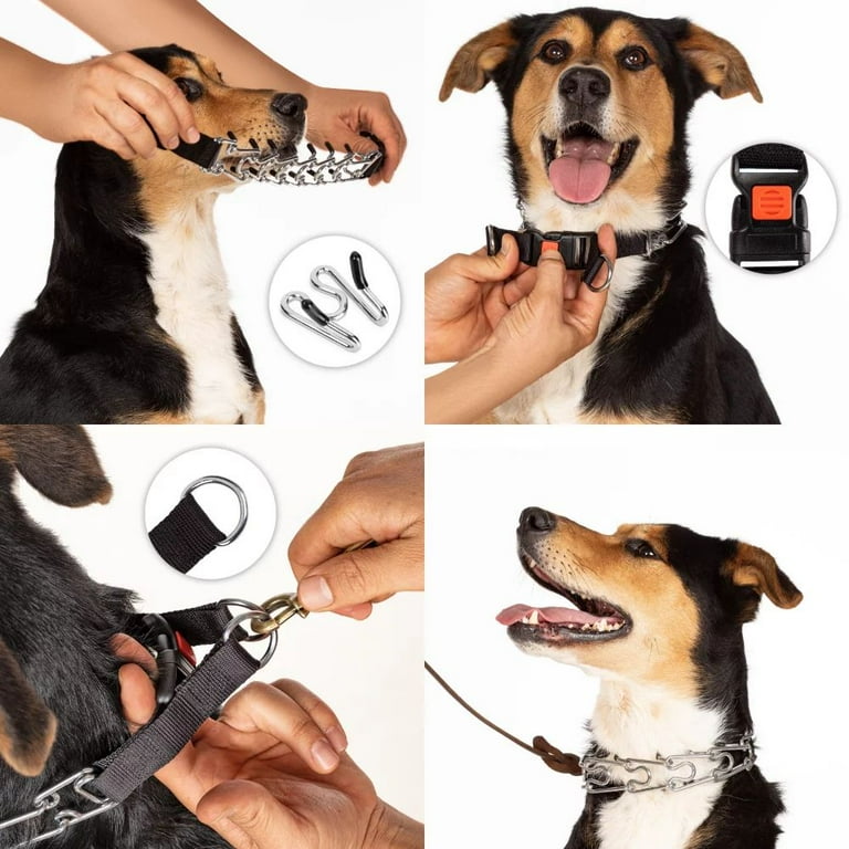 Best dog pinch collar hotsell