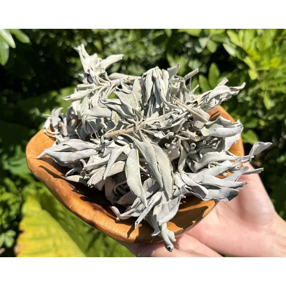 2 oz Loose White Sage Smudge Leaves & Clusters (Cleansing Smudging Purification)