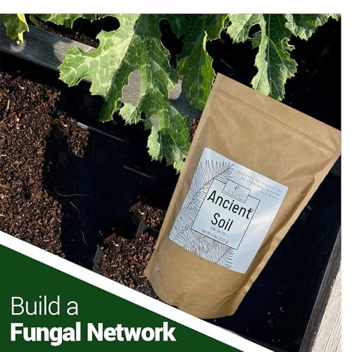 Elm Dirt Premium Ancient Soil for All Plants - Organic Plant Soil for Outdoor Plants & Indoor Plant Soil | Garden Soil for Plant Nutrients Growth & Protect your Plants Bugs - Roots