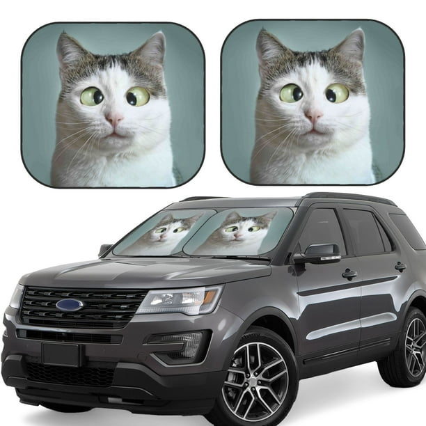 Fotbe Funny Cat Juego de 2 Piezas de Parasoles para Parabrisas | Bloqueador Solar para Auto | Accesorios Plegables para Protección Solar Interior-Large