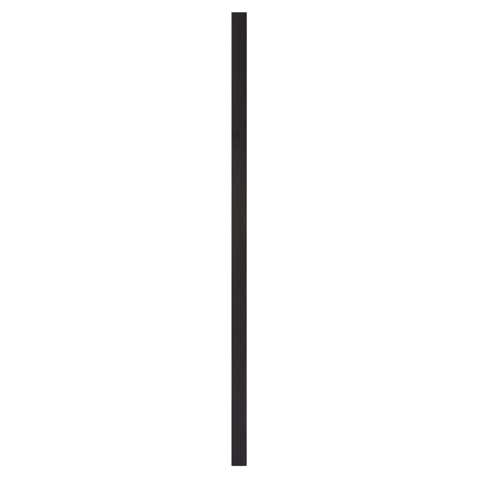 Tyler Dillon Black Rectangular Full Length Beveled Wall Mirror 20"W x 60"H