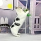 thumbnail image 1 of Gato pájaro chupador gato alambre gato varilla larga gato palo con campana mordedor puede reemplazar gato de succión rápida juguete para gato, 1 of 5