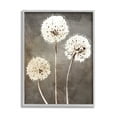 thumbnail image 3 of Stupell Industries Fluffy Dandelion Plants Wildflower Botanical Blooms Graphic Art Gray Framed Art Print Wall Art, Design by Kim Allen, 3 of 5