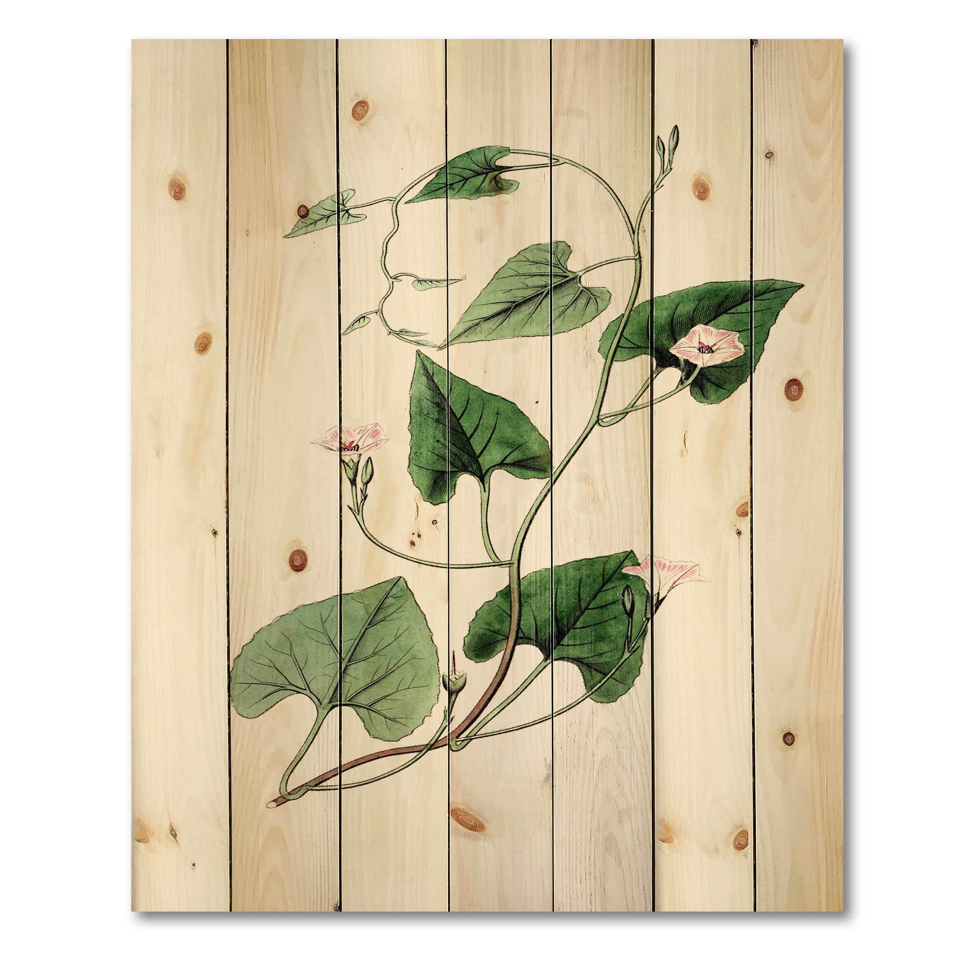 Designart 'Ancient Green Leaves Plants IX' Traditional Print on Natural Pine Wood