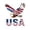 White, variant on Patriotic USA Bald Eagle American Flag Graphic T-Shirt