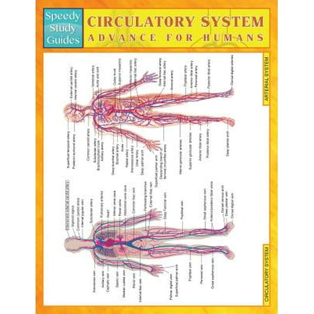 Circulatory System Advanced for Humans (Speedy Study (Best Foods For Circulatory System)