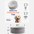 thumbnail image 2 of Addogyy Cuenco Para Perros De Cerámica Para Razas Medianas Grandes, Pesado, Alimentador De Agua Para Perros, Plato Antideslizante, Moderno, Lindo, Extra Grande, Porcelana, 8 Pulgadas, Cuenco Para Perr, 2 of 5