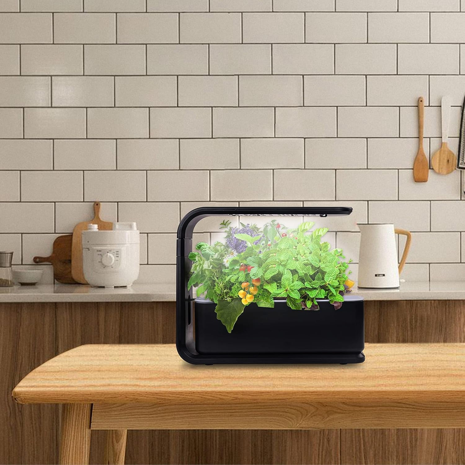Elevon Sprout Indoor Hydroponic Herb Garden with LED Grow Light for Home, Black