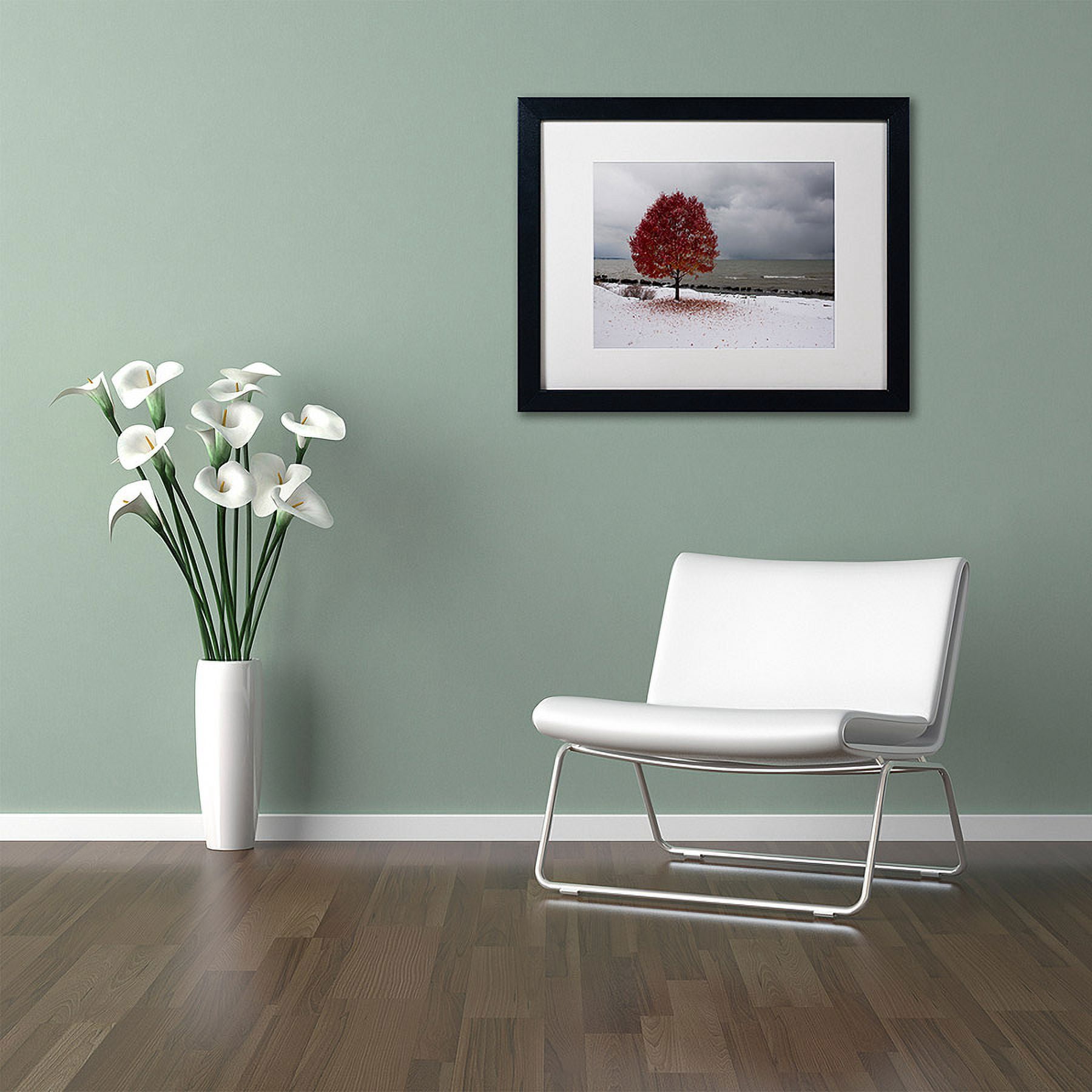 Trademark Fine Art "Autumn Contrast on the Lake" Canvas Art by Kurt Shaffer, White Matte, Black Frame
