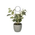 thumbnail image 5 of Soporte de planta Redondo Unique Bargains Anillos de Metal Negro paquete de 2, 5 of 5