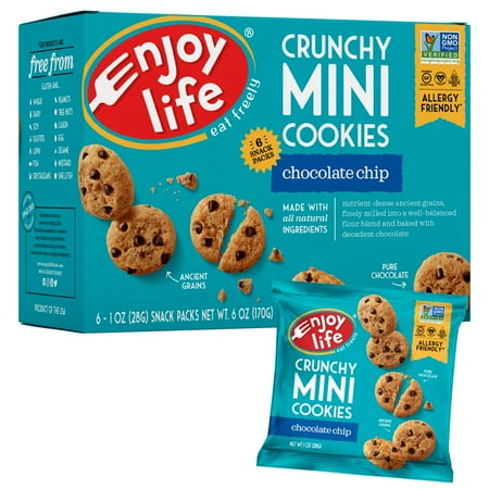 Foods Gluten Free Chocolate - Enjoy Life Foods Gluten Free, Allergy Friendly Crunchy Chocolate Chip Mini Cookies