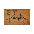 thumbnail image 2 of Hbdhejl Funny Doormats Welcome Fall Pumpkin Thanksgiving Floor Mats Welcoming Front Porch Decorative Doormats For Entry Way Rugs With Heavy Duty, 2 of 7