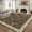 Brown, variant on 8x10 Washable Large Living Room Rug Water Resistant Distressed Vintage Floral Non Slip Low Pile Soft Rug for Bedroom Farmhouse Dining Room Playroom Brown Natural