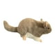 thumbnail image 5 of Muñeco de peluche de chinchilla de peluche de juguete suave para niños de cumpleaños 14 cm, 5 of 9