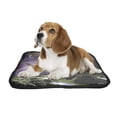 thumbnail image 2 of PKQWTM Home Decor Attack of the Asteroid on the Planet in the Universe Pet Dog Cat Bed Pee Pads Mat Cushion Potty Dogsblankets Crate Bed Kennel 28x36 inch, 2 of 3