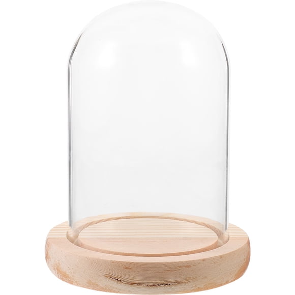 Vitrina de vidrio transparente con cubierta de exhibición de cúpula de vidrio transparente con base de madera