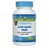 Botanic Choice Homeopathic Low Back Pain Formula, 90 Ct (2 Pk)