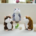 thumbnail image 3 of CNKOO Interesting Talking Hamster Plush Animal Doll Sound Walking Speech Recording, 3 of 6