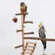 thumbnail image 4 of Hotsale Bird Swing Toy Wooden Parrot Perch Stand Playstand With Chewing Beads Cage Playground Bird Swing Toy Wooden Parrot Perch ShopWise Round, 4 of 21
