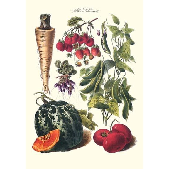 Vegetables; Strawberries, beans, tomato, melon, and raddish-Fine Art Canvas Print (20" x 30")