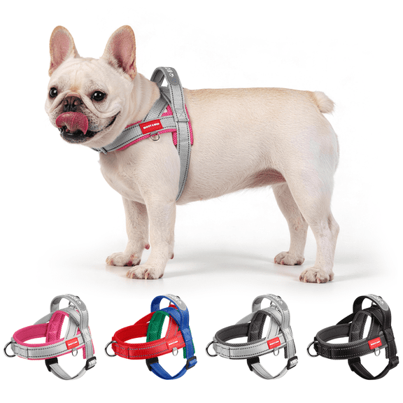 HCY&WLD No Pull Dog Harness with 3 Clips and Soft Padded Handle, Easy to Train and Walk (Pink, S)