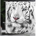 thumbnail image 3 of Ambesonne Black White Shower Curtain, Winter White Tiger, 69"Wx75"L, White Black and Grey, 3 of 4