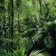thumbnail image 5 of Orinice Tropical rainforest shower curtain, jungle plants, green forests, leaves, trees, summer, primeval countryside, natural landscape, polyester fabric 36x72, 5 of 7
