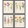 thumbnail image 2 of PixonSign Framed Wall Art Vintage Floral Birth Month Botanical Prints Antique Flower Illustrations Posters, Set of 4 Multicolor Nature Wilderness Canvas Prints for Home Decor - 8"x10" Black, 2 of 5