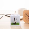 thumbnail image 4 of BESTYASH Transparent Jumping Spider Cage Acrylic Insect Habitat Box with Breathable Holes, 4 of 6
