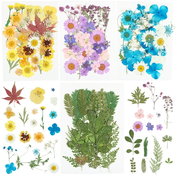 128Pcs Dried Flower Dried Pressed Flowers for Craft Colorful Real Pressed Flowers Mixed Dry Pressed Flowers Bulk Natural Dried Leaves Bulk Pressed Flowers for DIY Scrapbooking Resin Epoxy