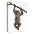 thumbnail image 2 of Creative Products Hanging Monkey 16 x 24 Canvas Wall Art, 2 of 5