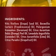 thumbnail image 2 of MAJESTIC PURE Frankincense Scar and Stretch Massage Oil for Massage Therapy- Invigorating, Refreshing, and Relaxing - Massage, Made with Natural Oils - for All Skin Types - Men and Women - 8 fl oz, 2 of 2