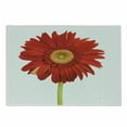 thumbnail image 1 of Gerber Daisy Cutting Board, Closeup Flower Photo Petal with Stem on Plain Backdrop, Decorative Tempered Glass Cutting and Serving Board, in 3 Sizes, by Ambesonne, 1 of 2