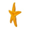 thumbnail image 2 of Safari Ltd Wild Safari Sea Life Starfish, 2 of 4