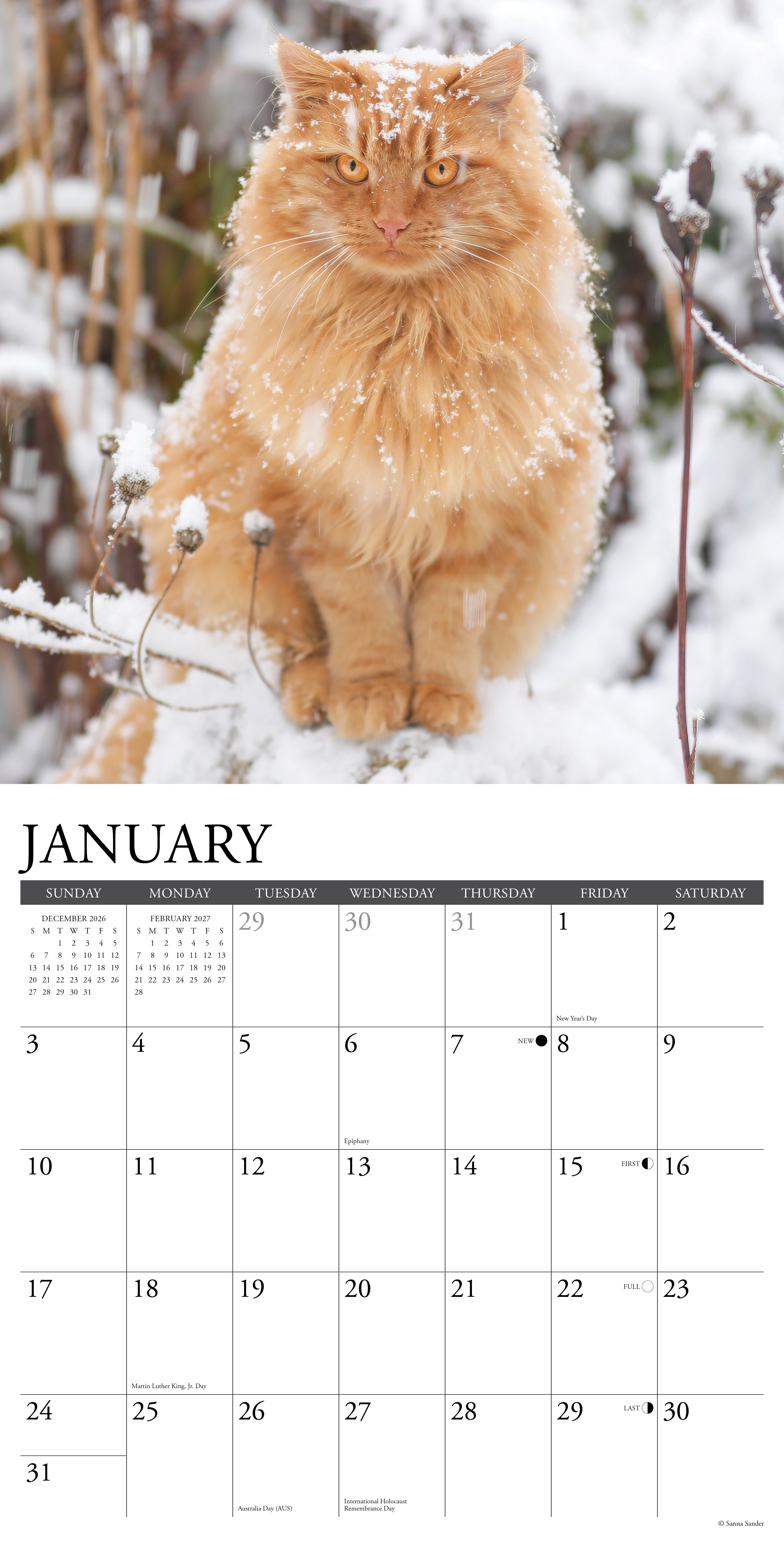 Willow Creek Press, Ginger Cats 2027 Wall Calendar