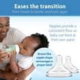 thumbnail image 4 of Biberón Dr. Brown's Anti-Colic Options + cuello ancho 150 ml/270 ml, 4 of 7
