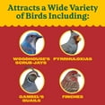 thumbnail image 5 of Pennington Southwest Blend Wild Bird Seed for Outside Feeders, 40 lb., 1 Pack, Dry Bird Food, 5 of 12