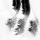 thumbnail image 5 of Extensiones de pestañas con volumen prefabricadas WENDY LASHES 500 Fans 12D, 5 of 6