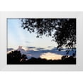 thumbnail image 3 of Alan Hausenflock 14x11 White Modern Wood Framed Wall Art Titled - Sunset Through the Trees I, 3 of 5